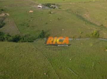 Imagem 1 · Fazenda