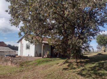 Imagem 1 · Chácara para venda em Cerro Alegre Baixo, Santa Cruz do Sul