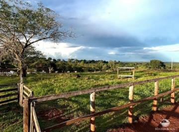 Imagem 1 · Fazenda