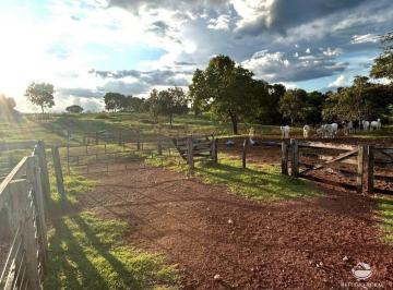 Imagem 1 · Fazenda