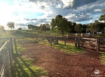 Imagem 1 · Fazenda para venda em Centro, Sandolândia