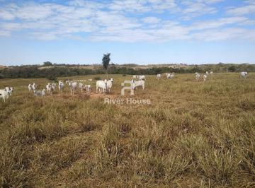 Imagem 1 · Fazenda