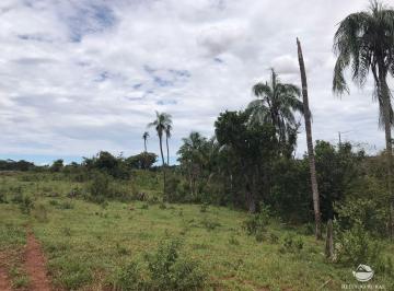 Imagem 1 · Fazenda