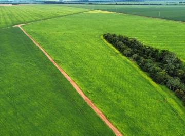 Imagem 1 · Fazenda