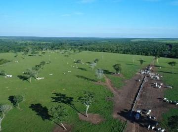 Imagem 1 · Fazenda
