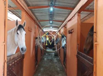 Imagem 1 · Fazenda