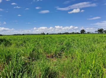 Imagem 1 · Fazenda