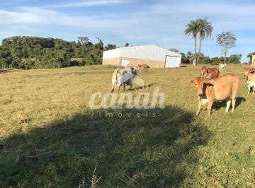 Imagem 1 · Fazenda