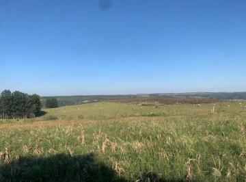 Imagem 1 · Fazenda para venda em Área Rural de Marília, Marília
