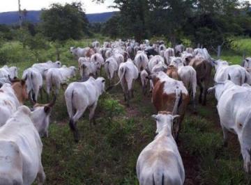 Imagem 1 · Fazenda