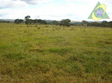 Imagem 1 · Fazenda