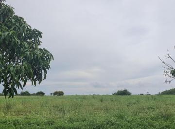 Imagem 1 · Fazenda