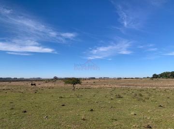 Imagem 1 · Fazenda