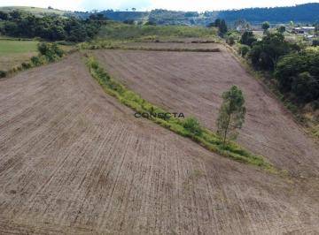 Imagem 1 · Sítio para venda em Selva, Londrina