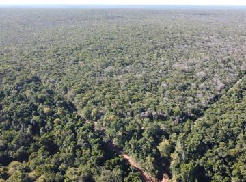 Imagem 1 · Fazenda