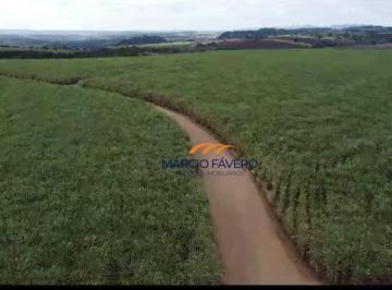 Imagem 1 · Fazenda