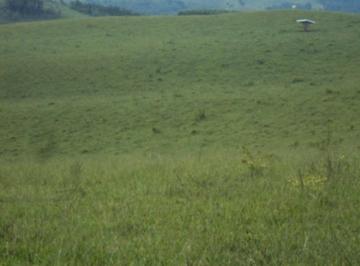 Imagem 1 · Fazenda