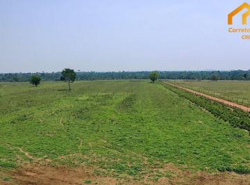Imagem 1 · Fazenda
