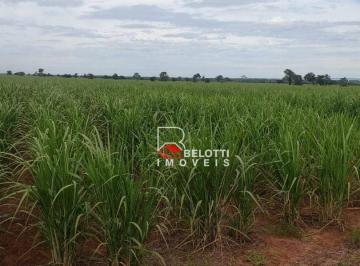 Imagem 1 · Fazenda