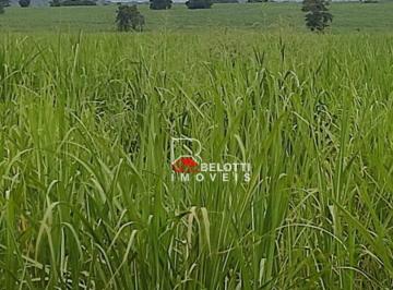 Imagem 1 · Fazenda para venda em Panorama