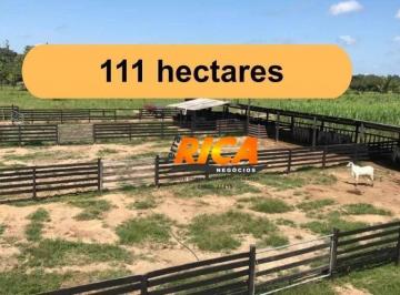 Imagem 1 · Fazenda