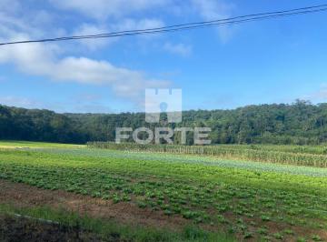 Imagem 1 · Sítio para venda em Vila Aparecida, Suzano