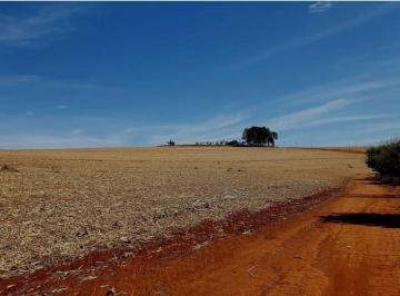 Imagem 1 · Fazenda