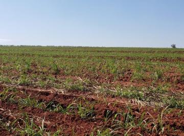 Imagem 1 · Fazenda