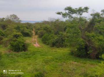 Imagem 1 · Fazenda