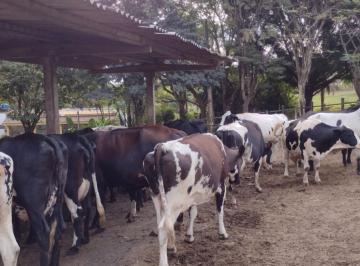 Imagem 1 · Fazenda