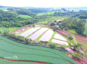 Imagem 1 · Fazenda