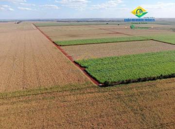 Imagem 1 · Fazenda