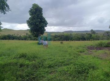 Imagem 1 · Fazenda