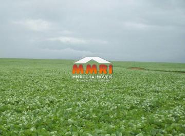 Imagem 1 · Fazenda