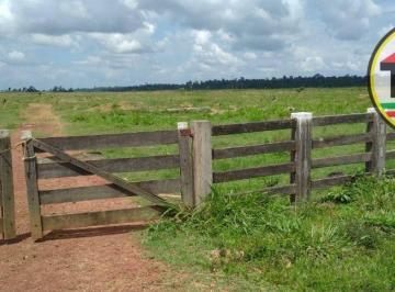 Imagem 1 · Fazenda