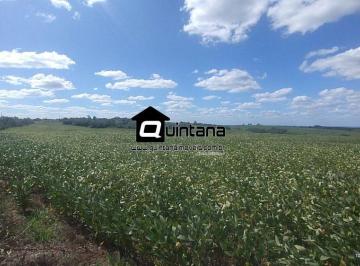 Imagem 1 · Fazenda para venda em Centro, Herval
