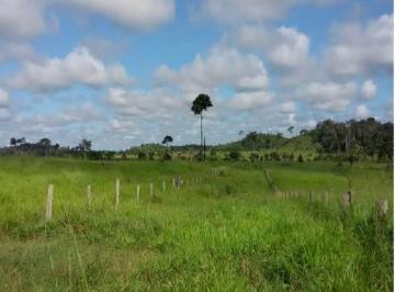 Imagem 1 · Fazenda