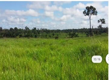 Imagem 1 · Fazenda