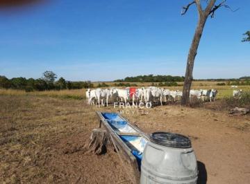 Imagem 1 · Fazenda