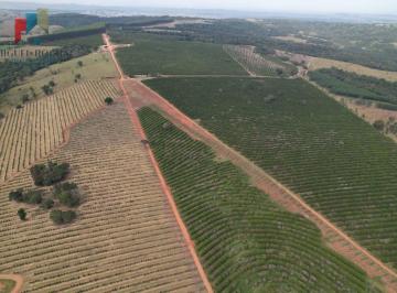 Imagem 1 · Fazenda