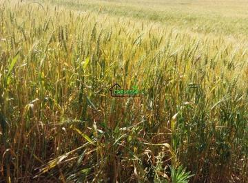 Imagem 1 · Fazenda