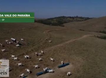 Imagem 1 · Fazenda