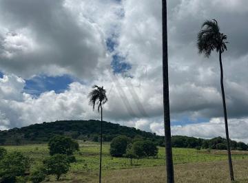 Imagem 1 · Chácara para venda em Área Rural de Goianésia, Goianésia