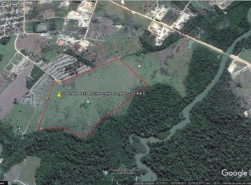 Imagem 1 · Sítio para venda em Ji-Paraná
