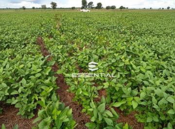 Imagem 1 · Fazenda
