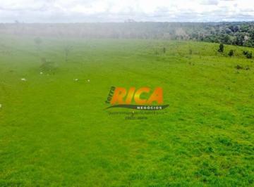 Imagem 1 · Fazenda