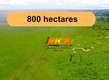 Imagem 1 · Fazenda