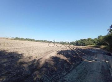 Imagem 1 · Fazenda