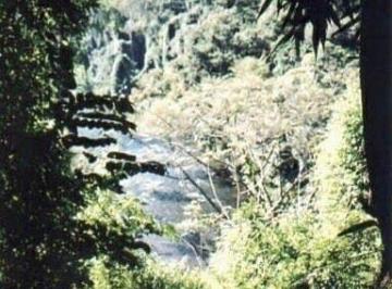 Imagem 1 · Fazenda