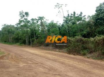 Imagem 1 · Fazenda